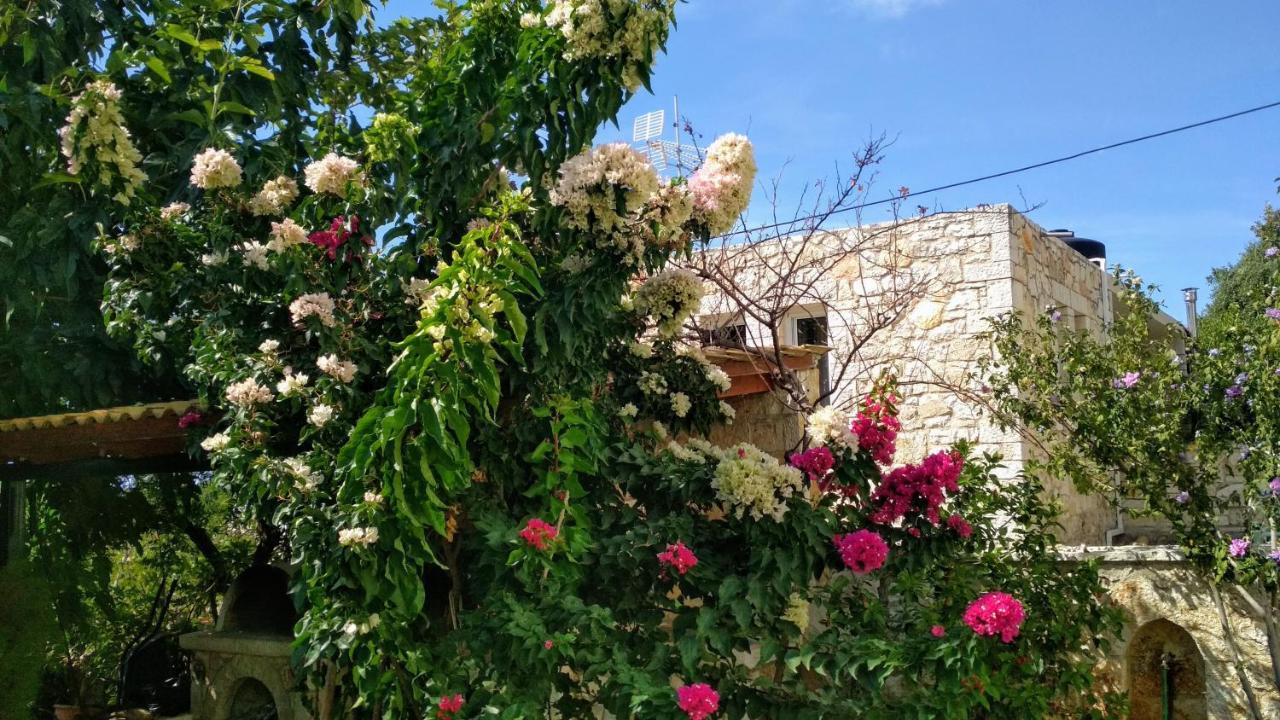 Villa Vera Sívota Buitenkant foto